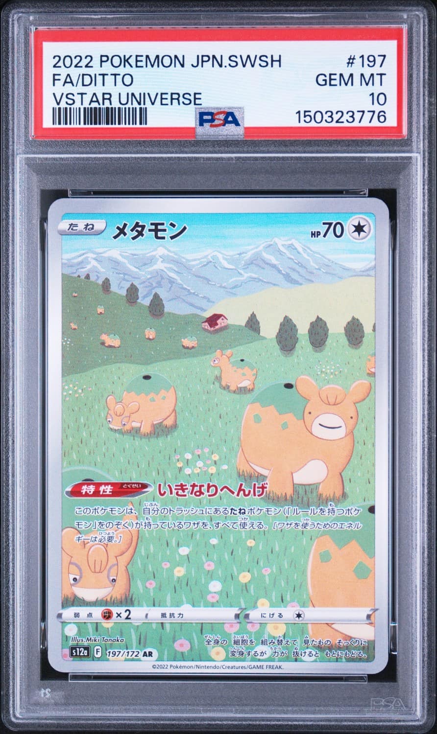 Ditto