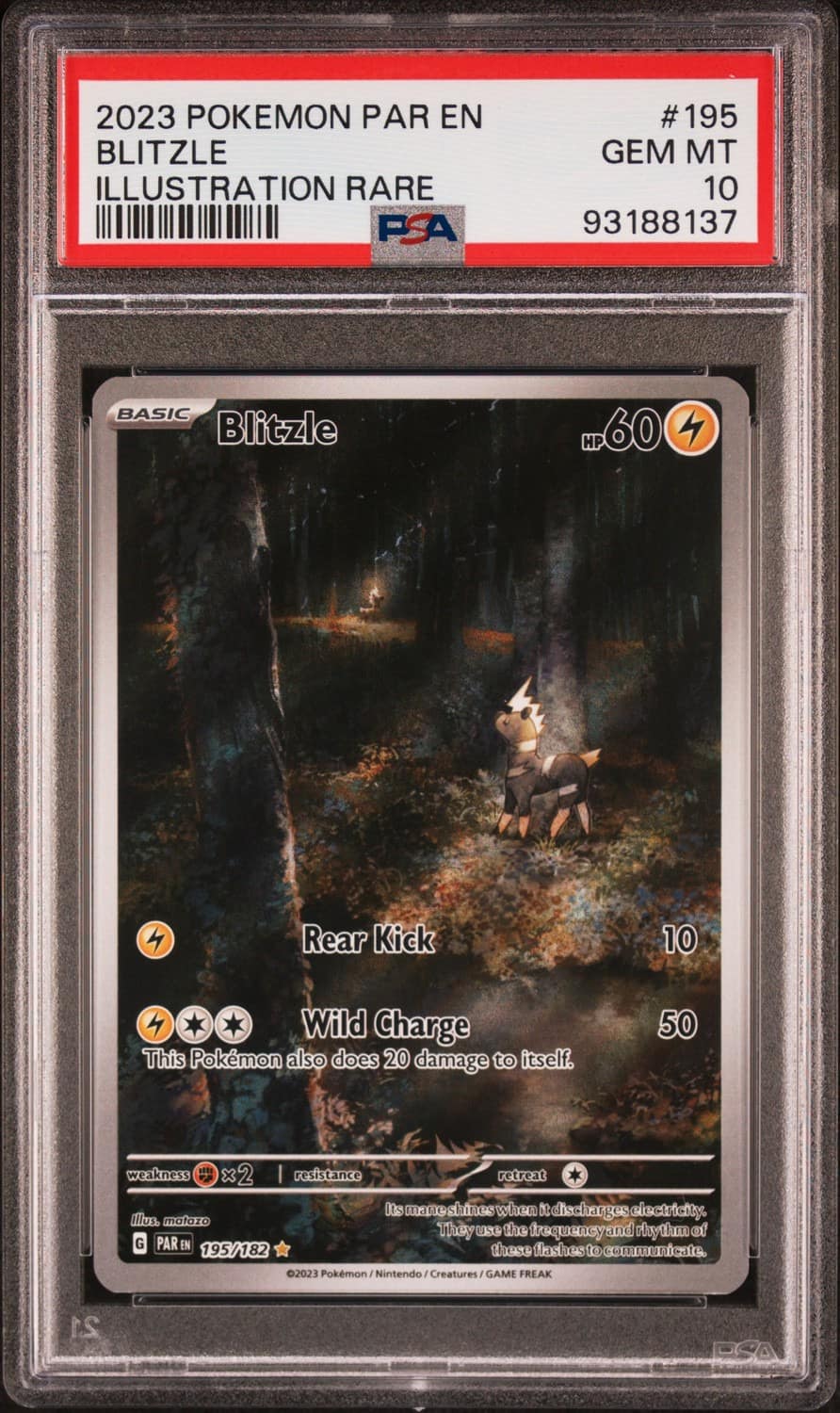 Blitzle
