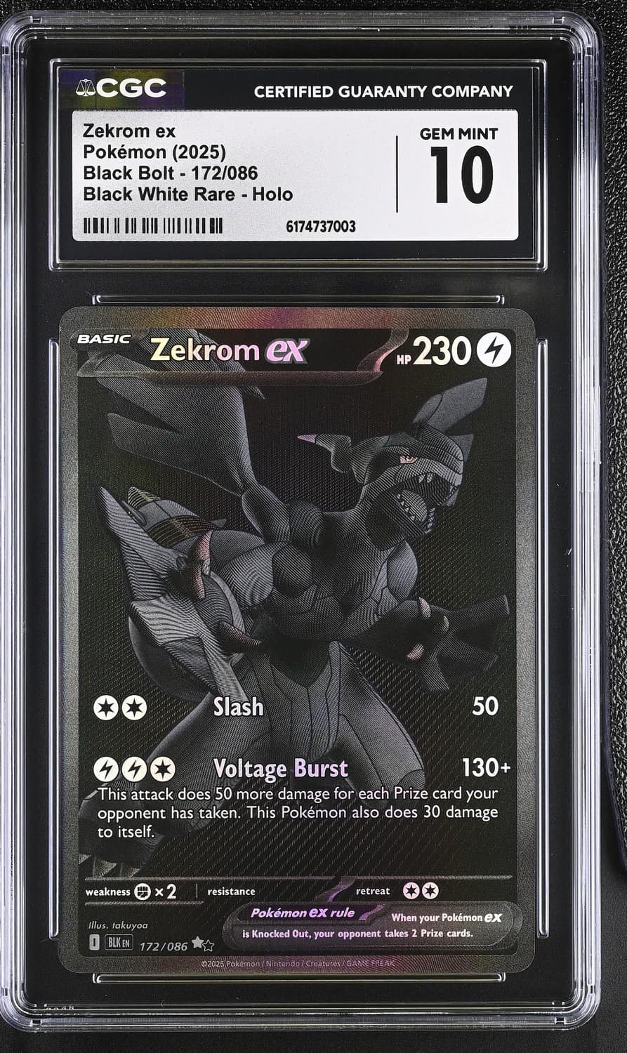Zekrom Ex