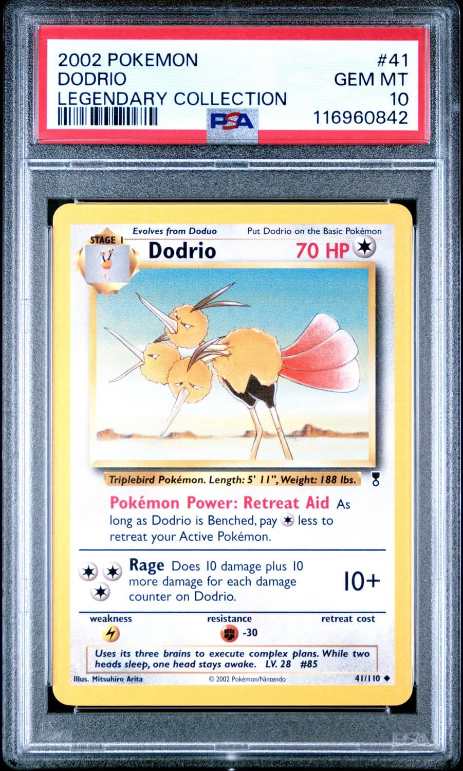 Dodrio
