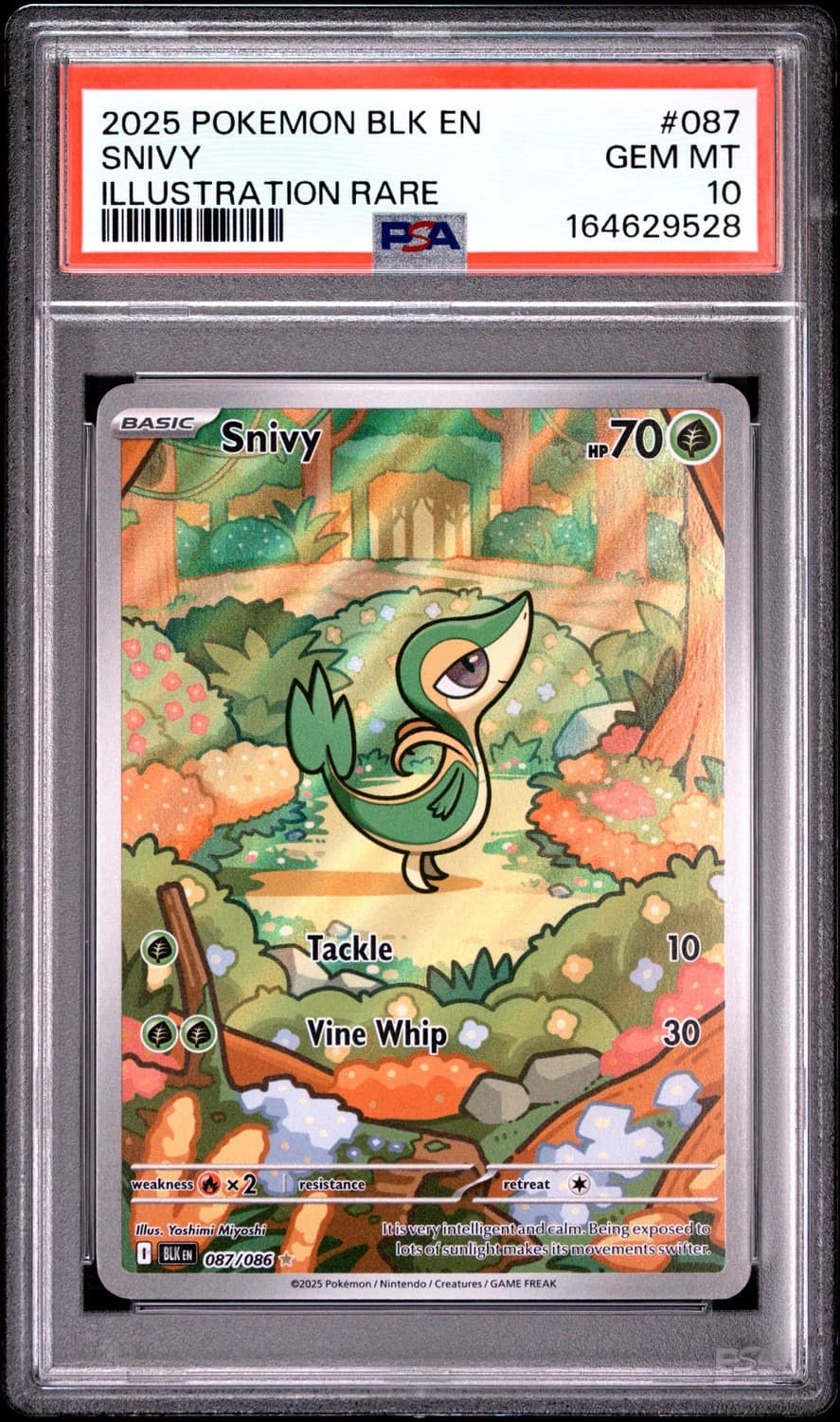 Snivy