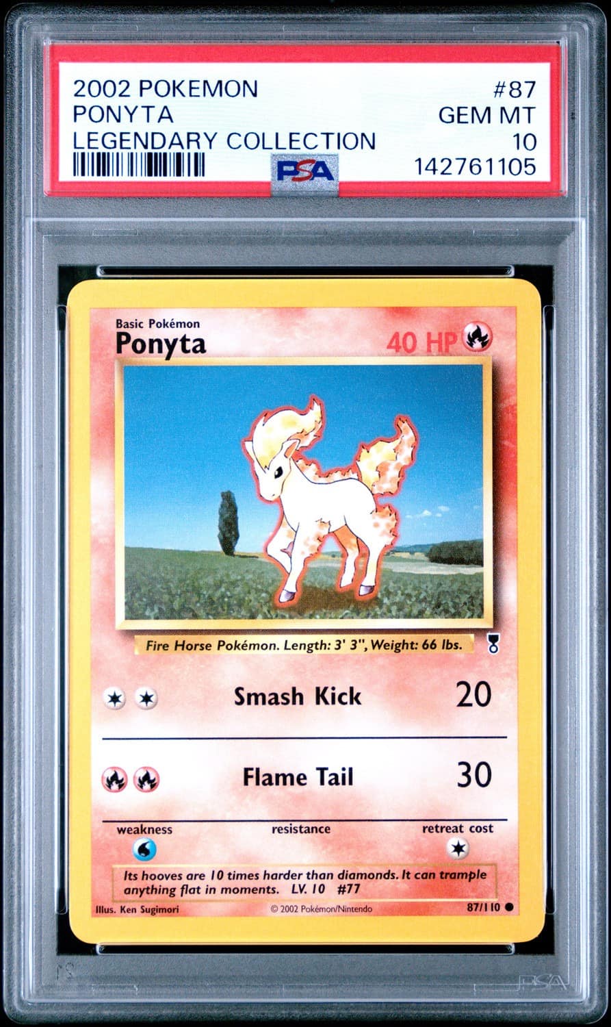 Ponyta