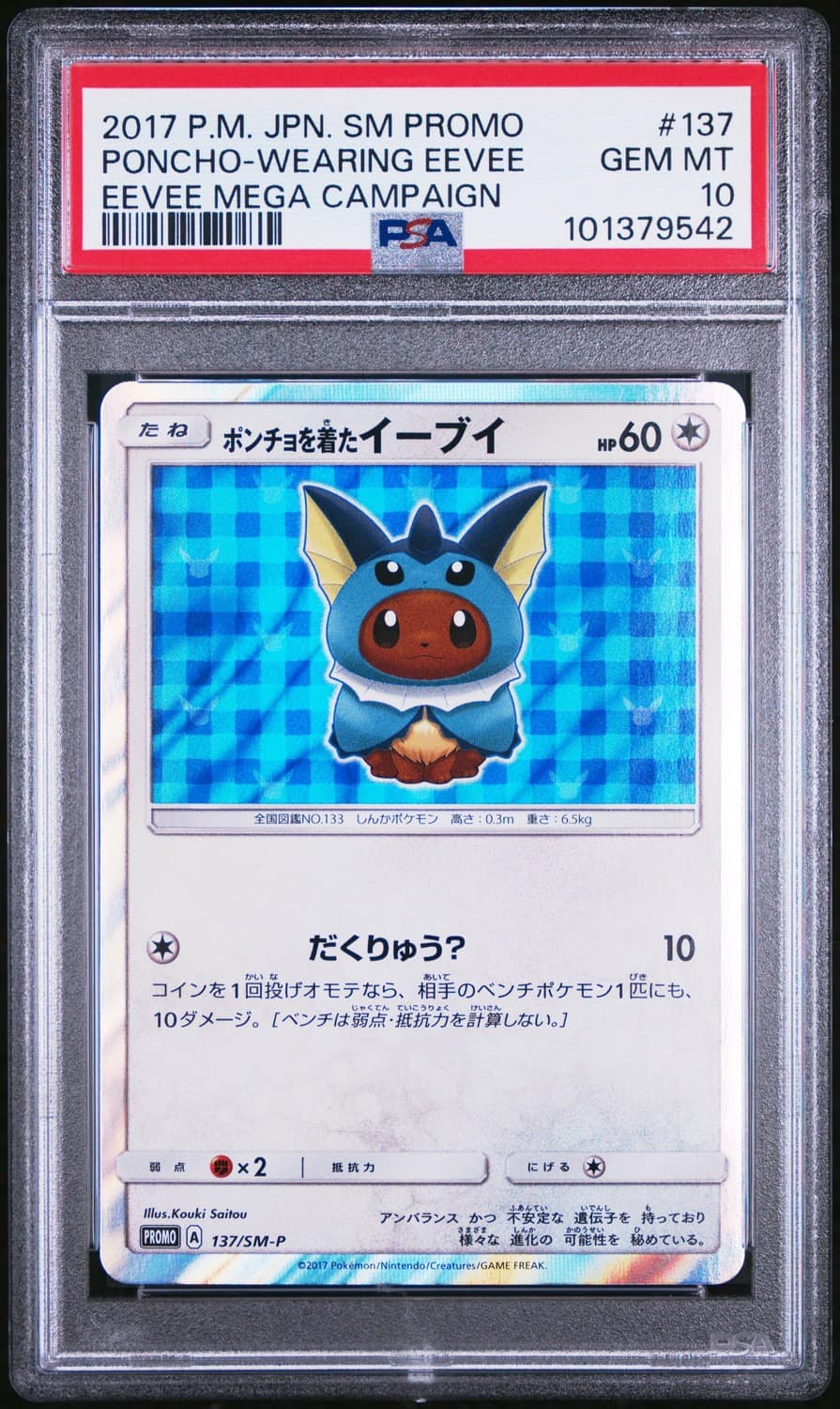 Poncho-Wearing Eevee