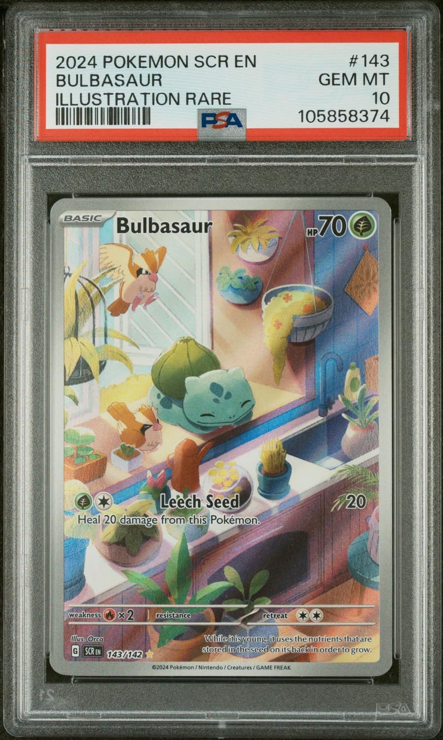 Bulbasaur