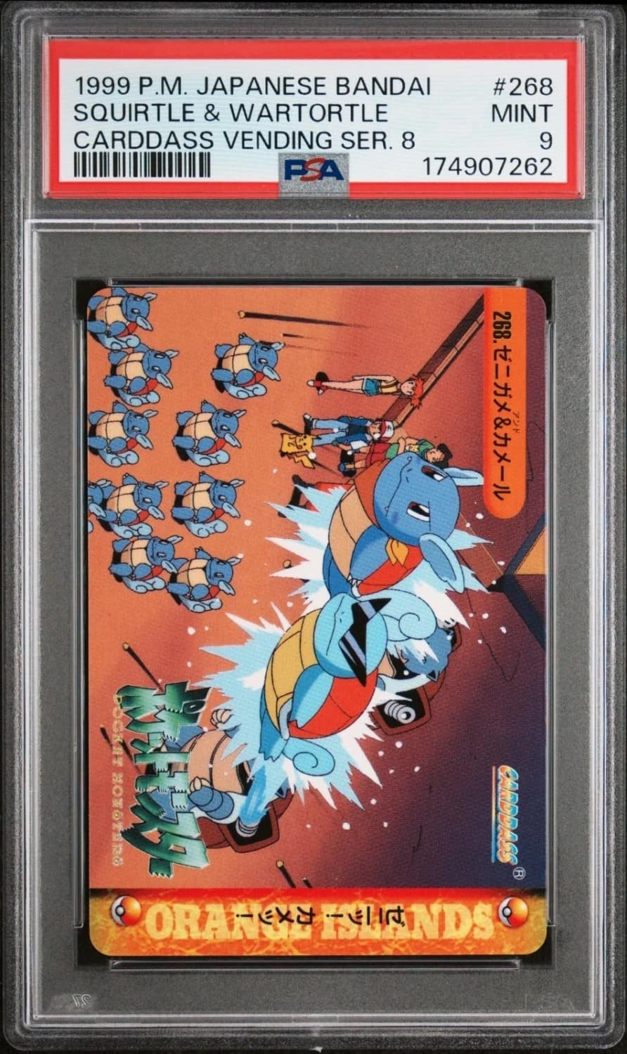 Squirtle & Wartortle