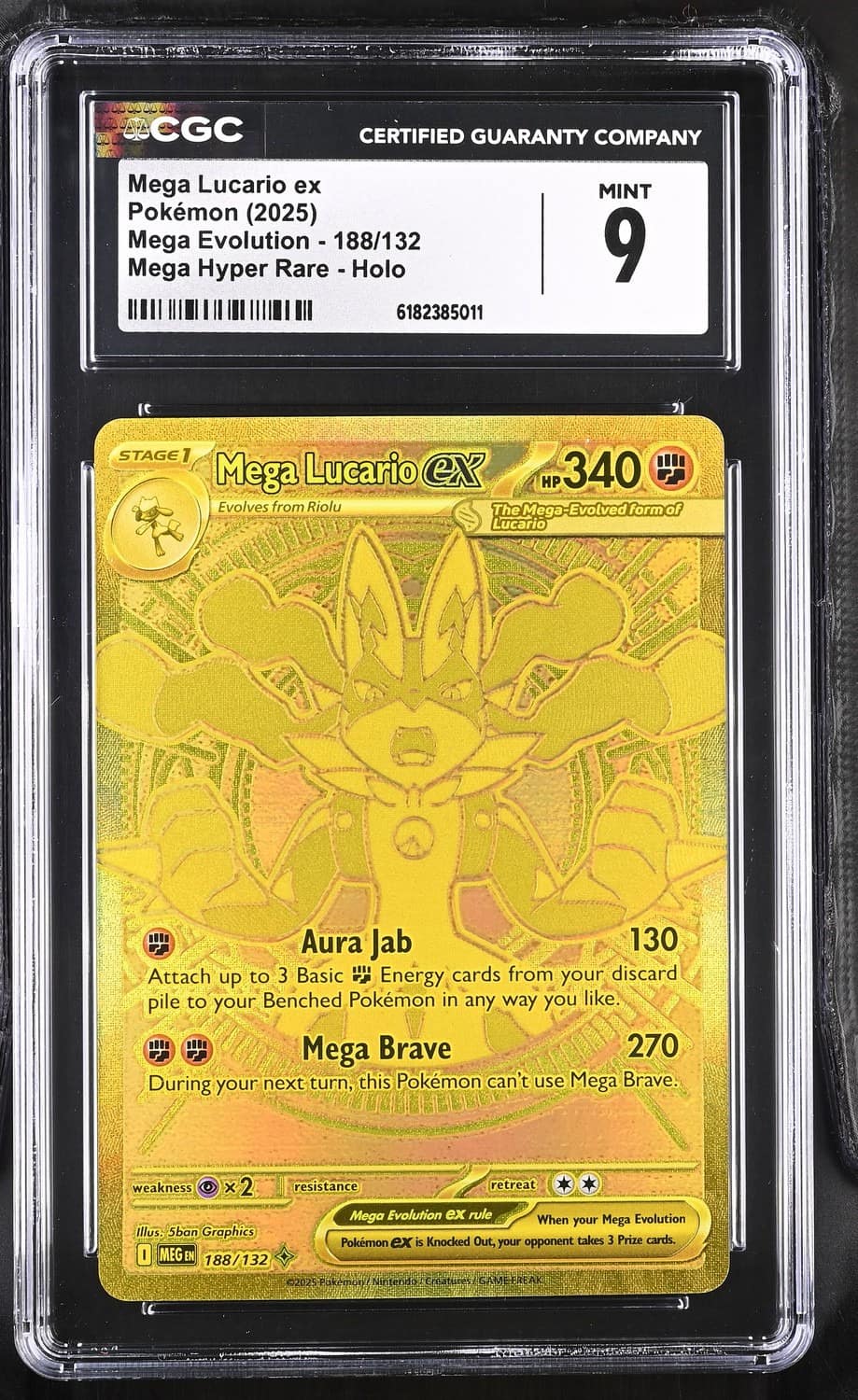 Mega Lucario Ex