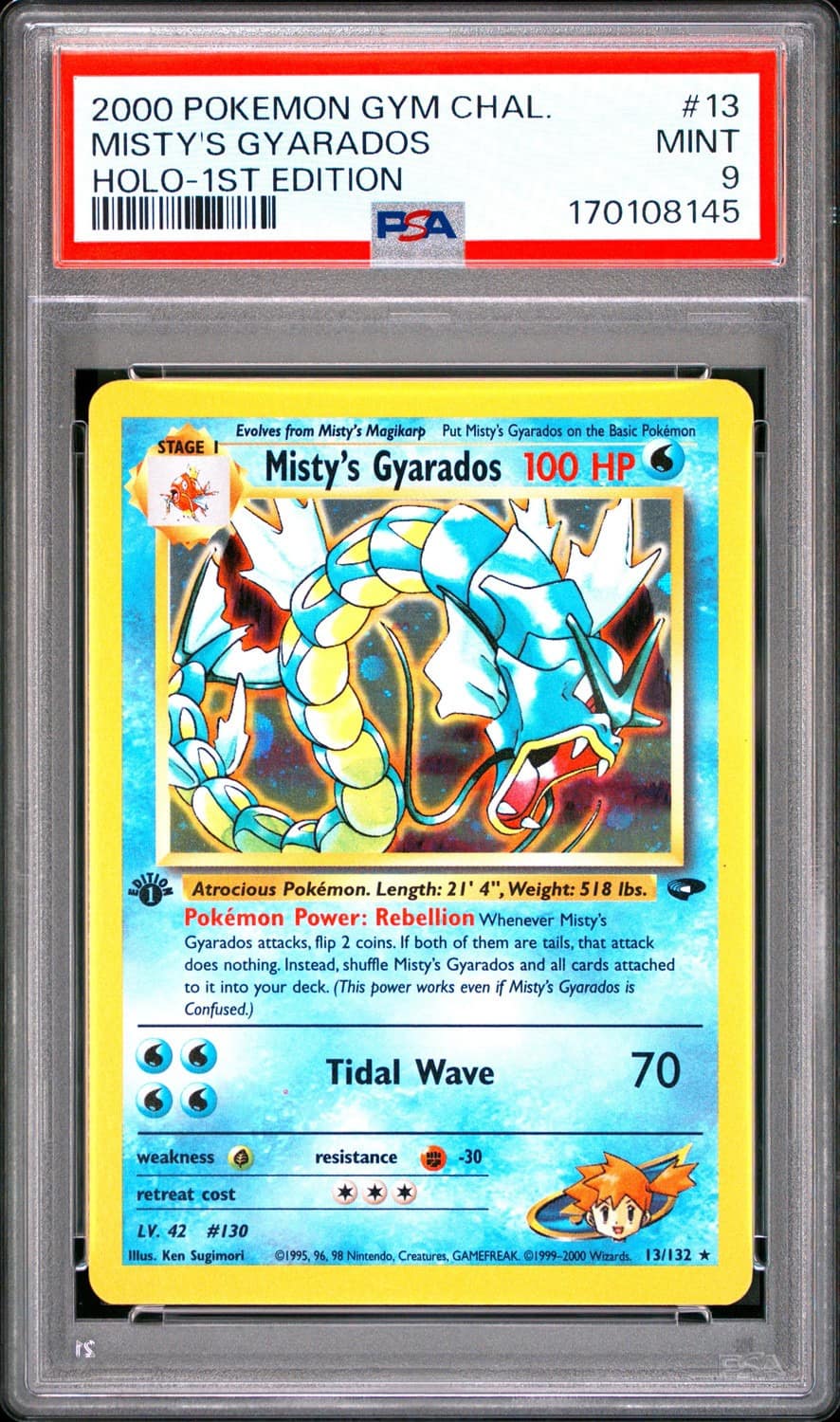 Misty'S Gyarados