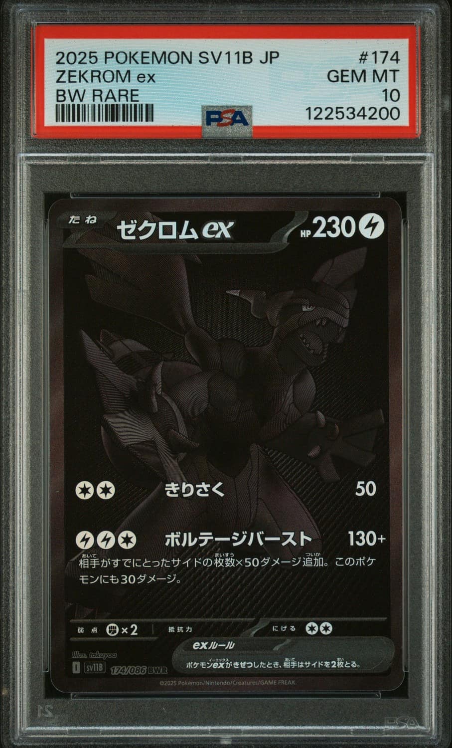 Zekrom Ex