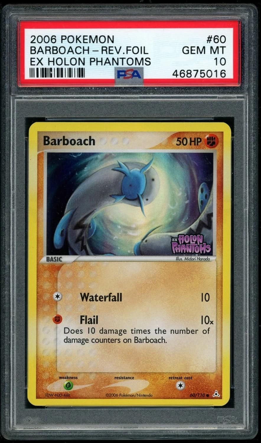 Barboach
