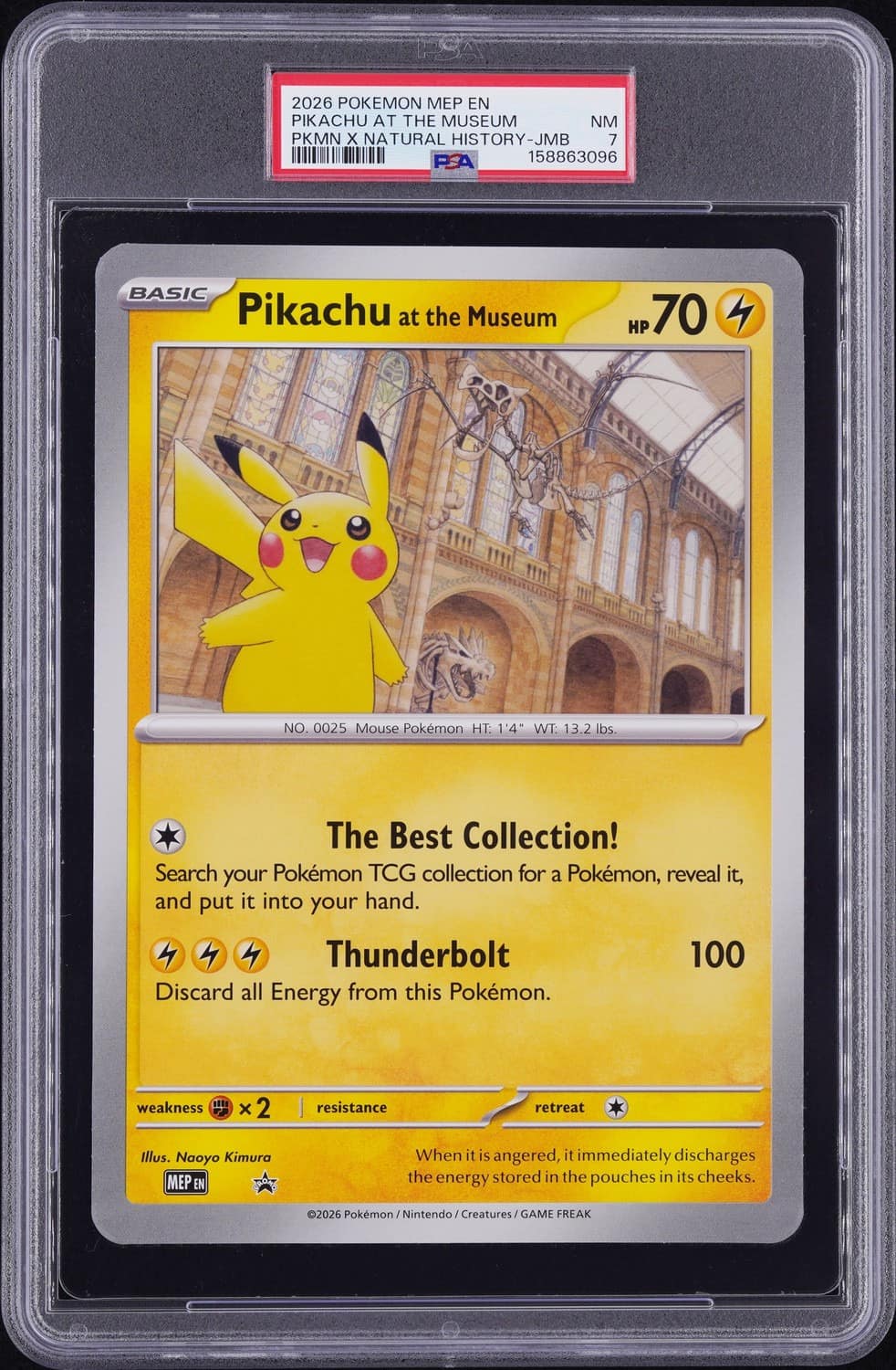 Pikachu At The Museum