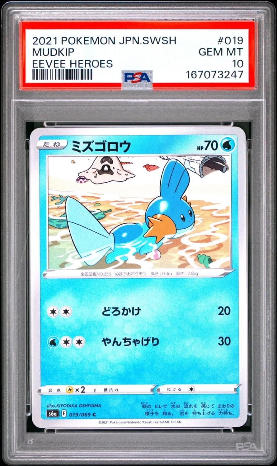 Mudkip