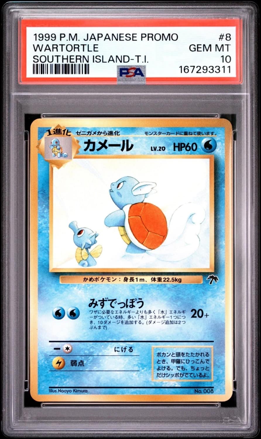 Wartortle