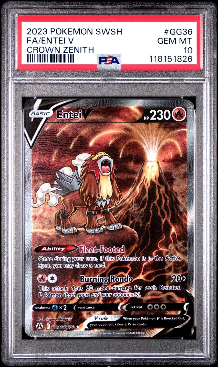 Entei V
