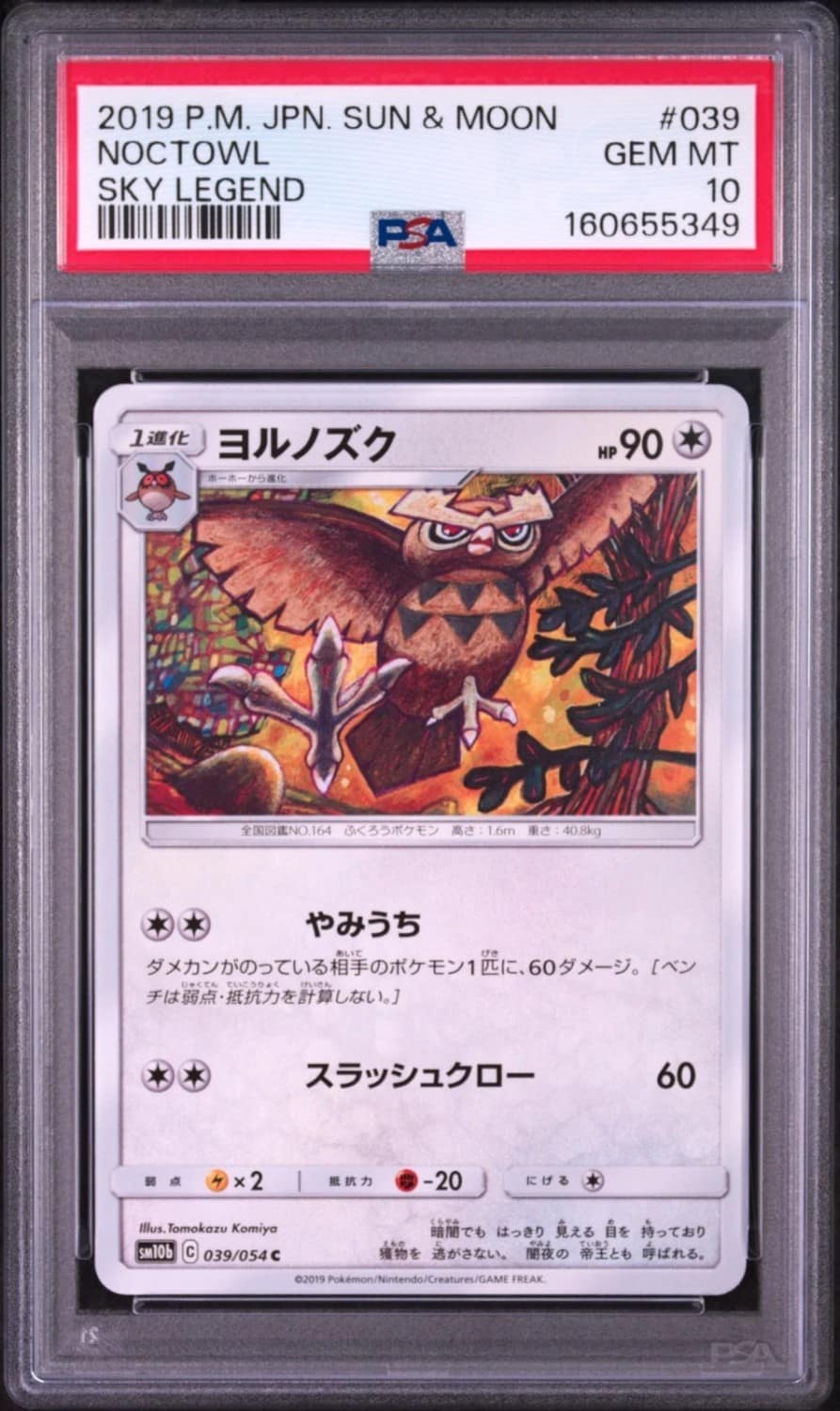 Noctowl