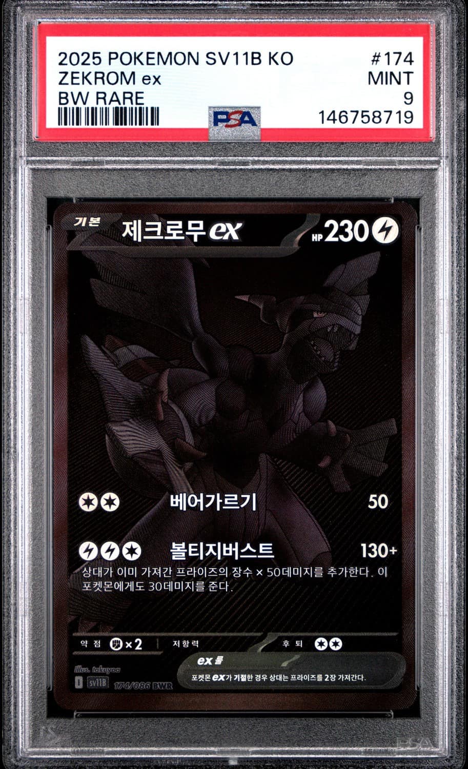 Zekrom Ex