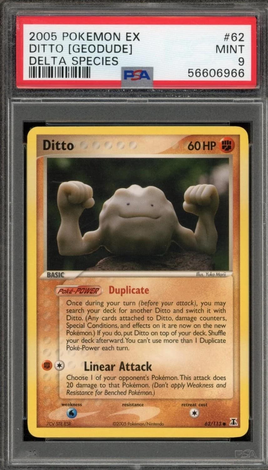 Ditto [geodude]