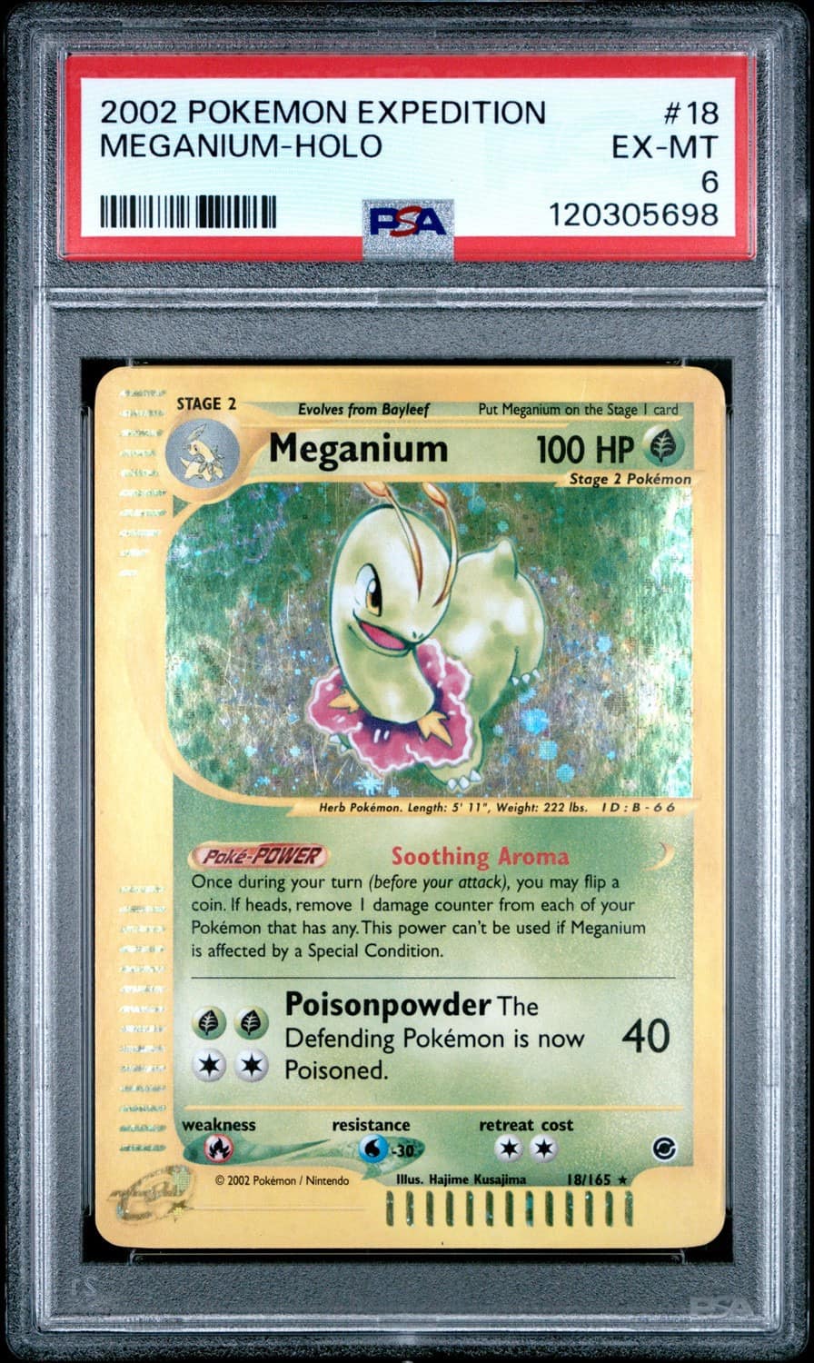 Meganium