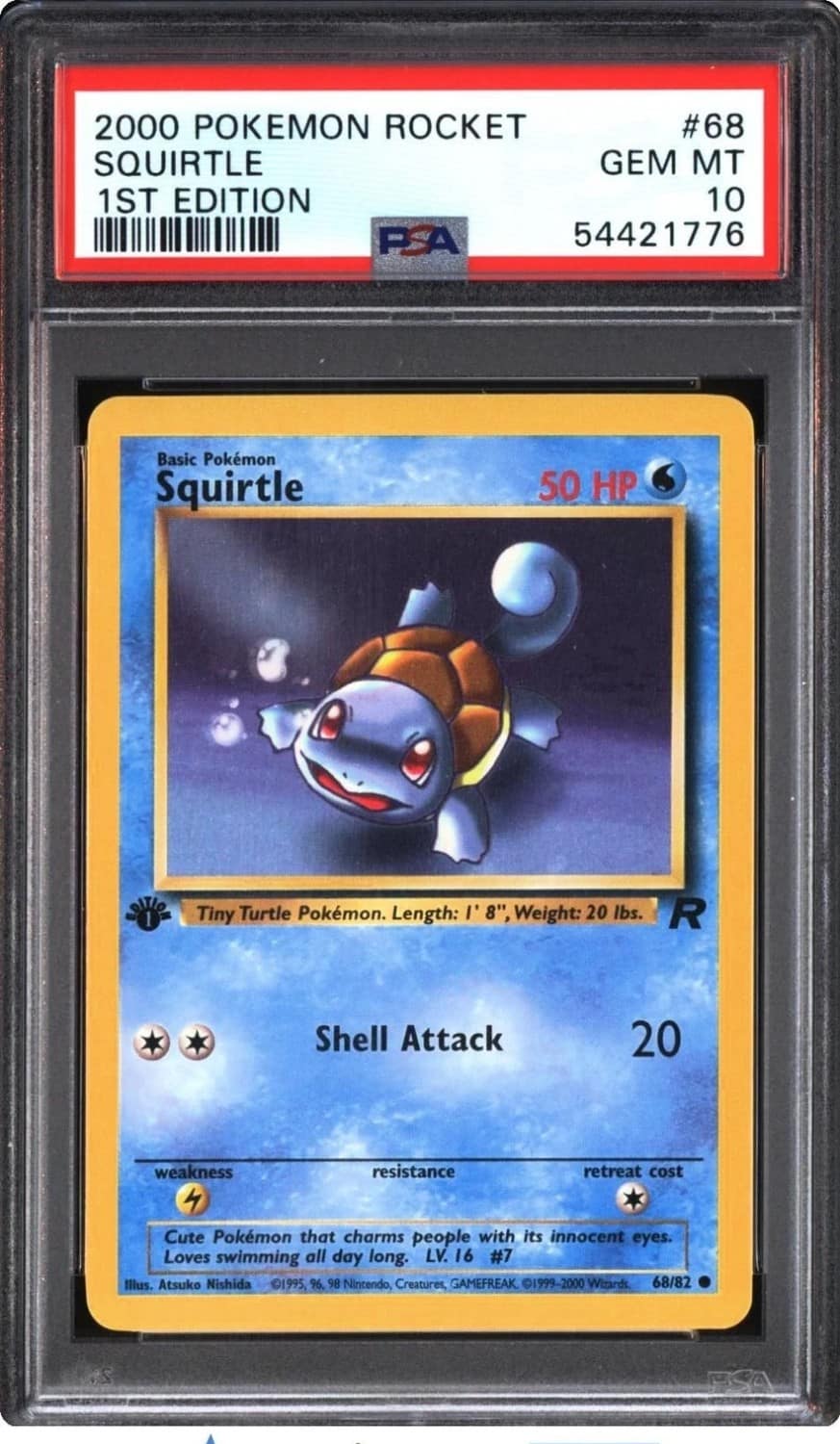 Squirtle