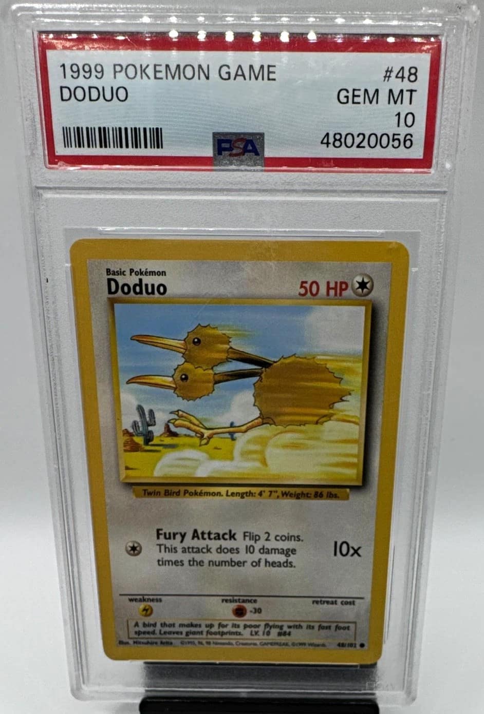 Doduo