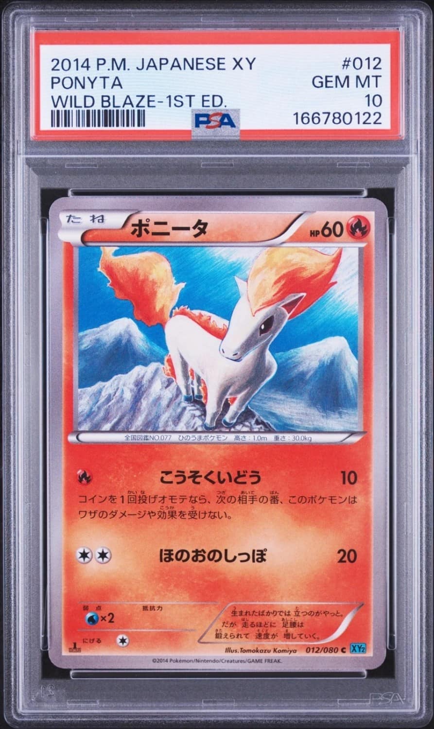 Ponyta