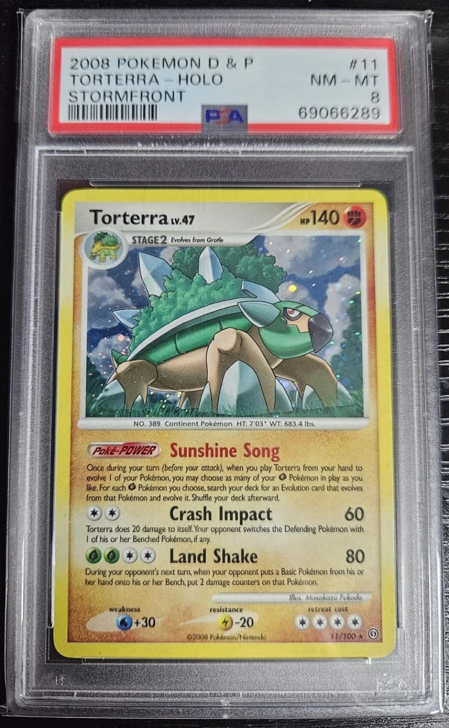 Torterra