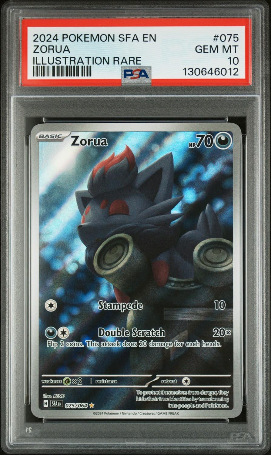 Zorua