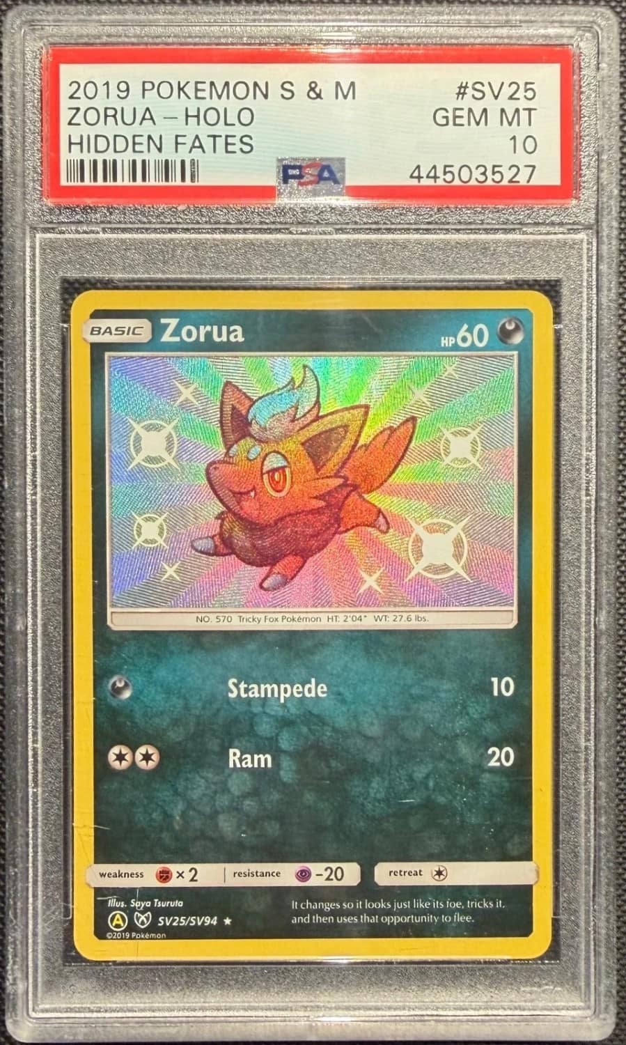 Zorua