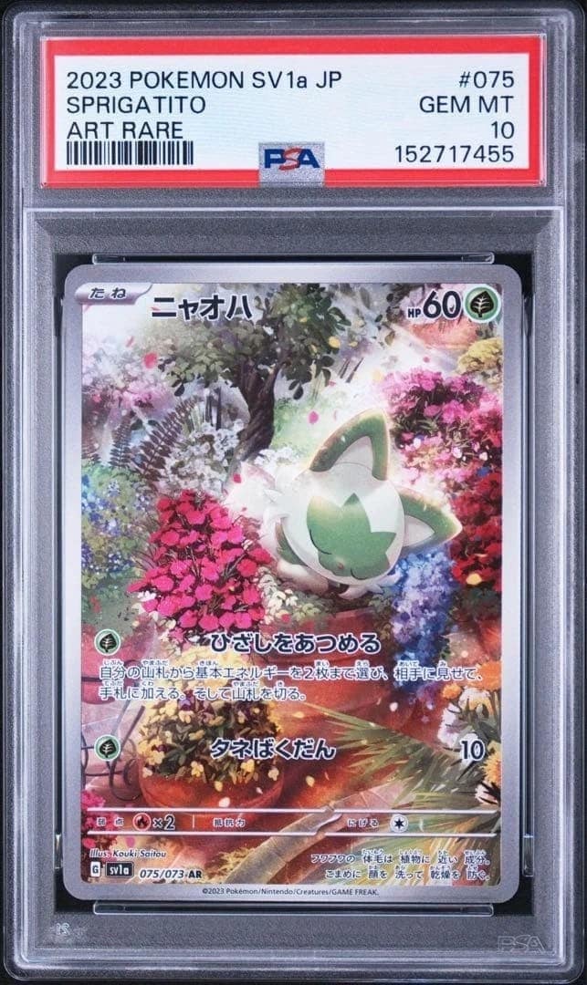 Sprigatito