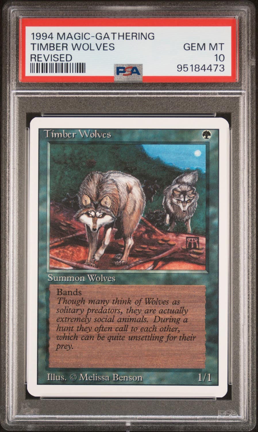 Timber Wolves