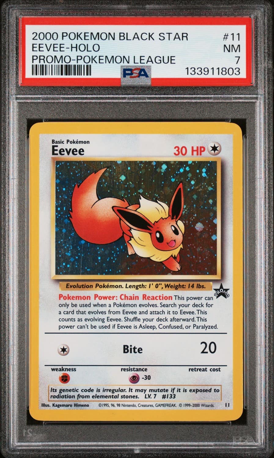 Eevee