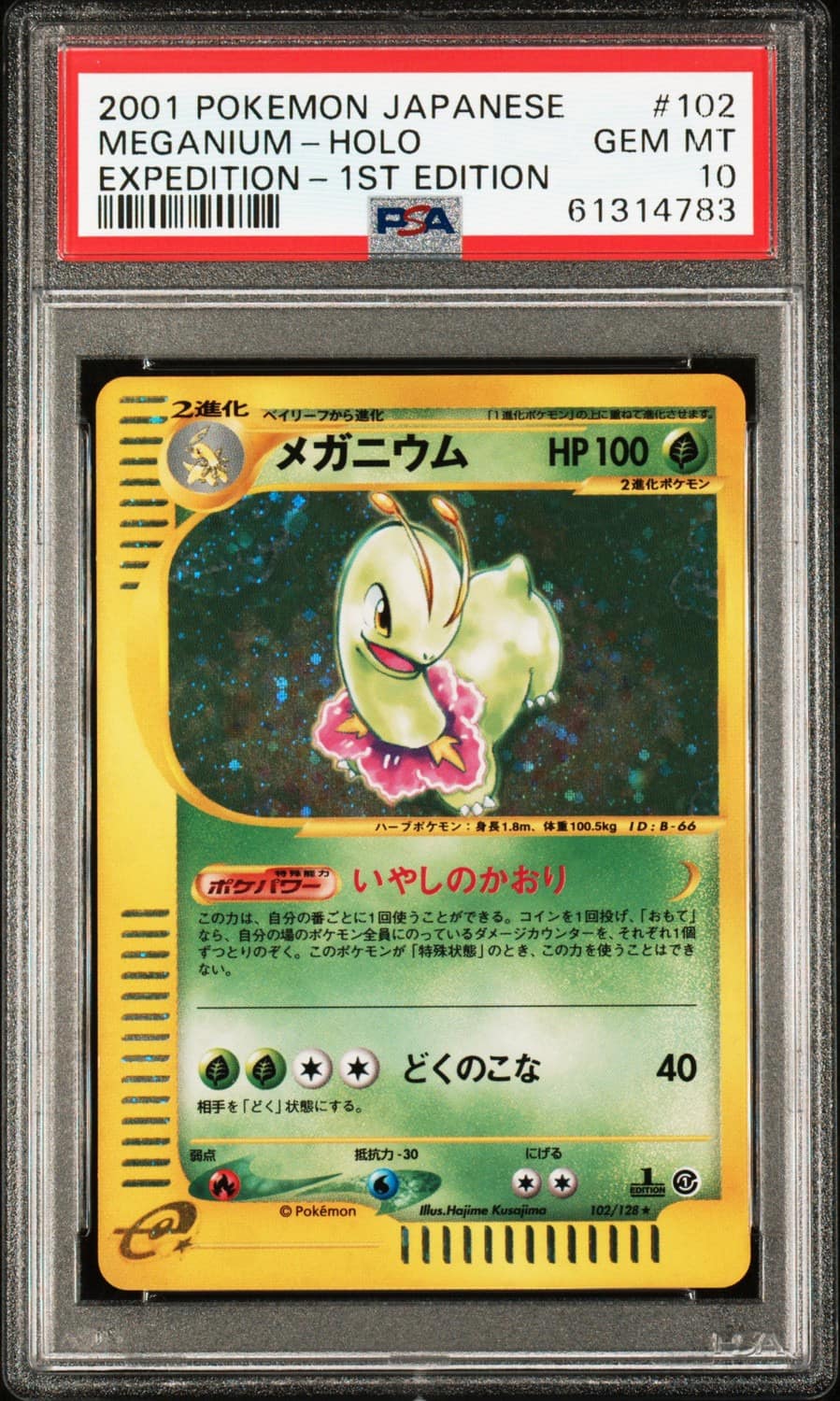 Meganium