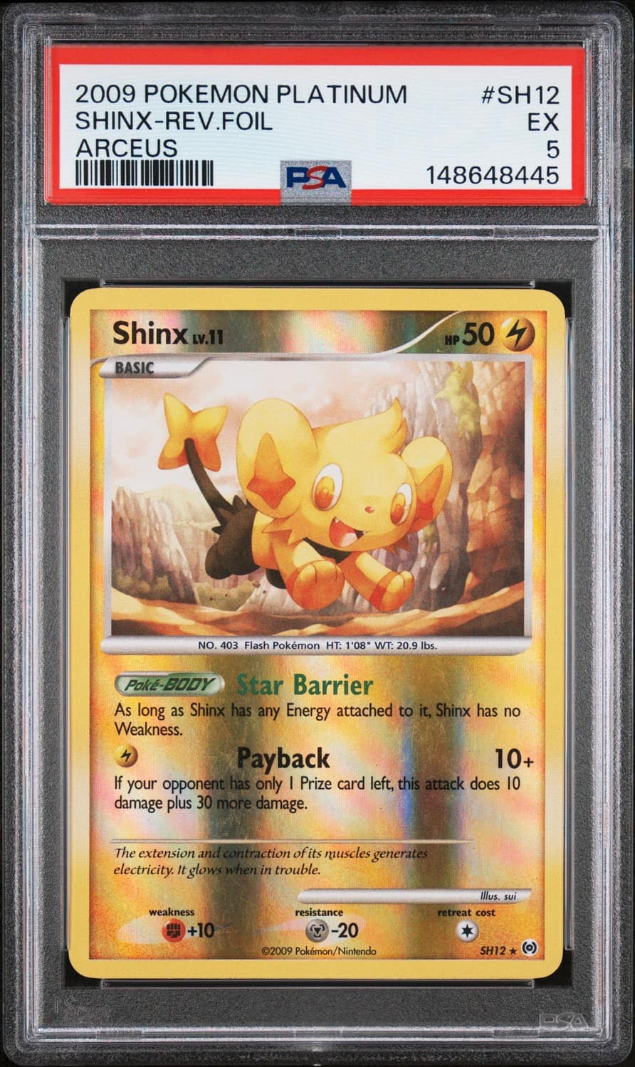 Shinx