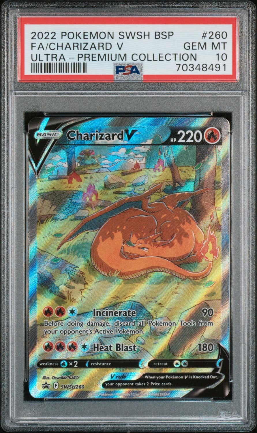 Charizard V