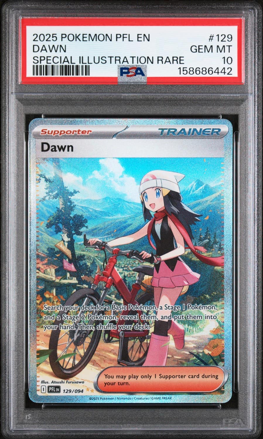 Dawn
