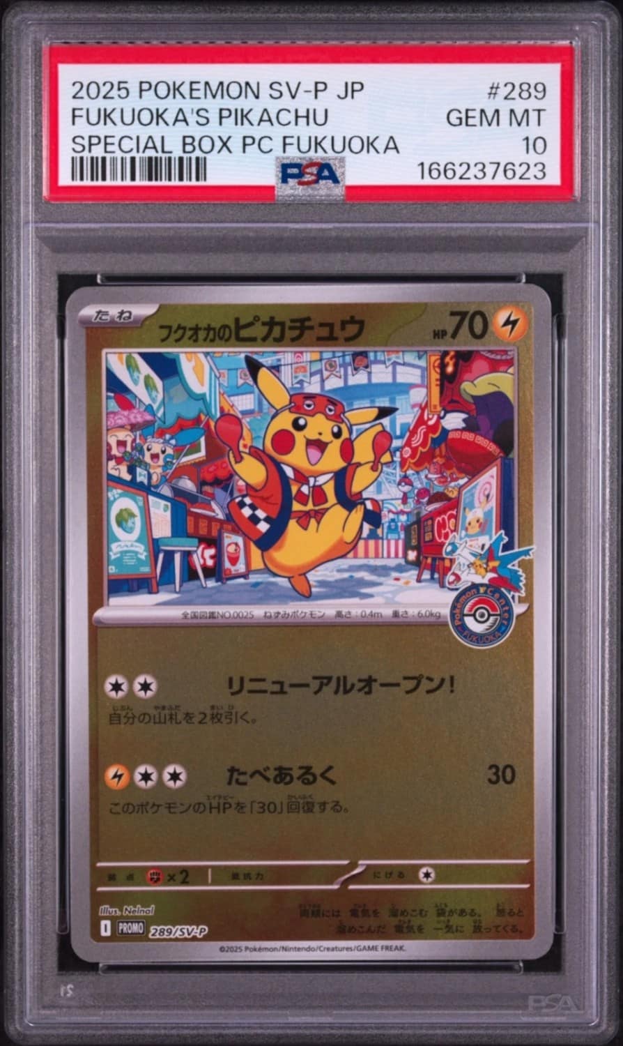 Fukuoka'S Pikachu