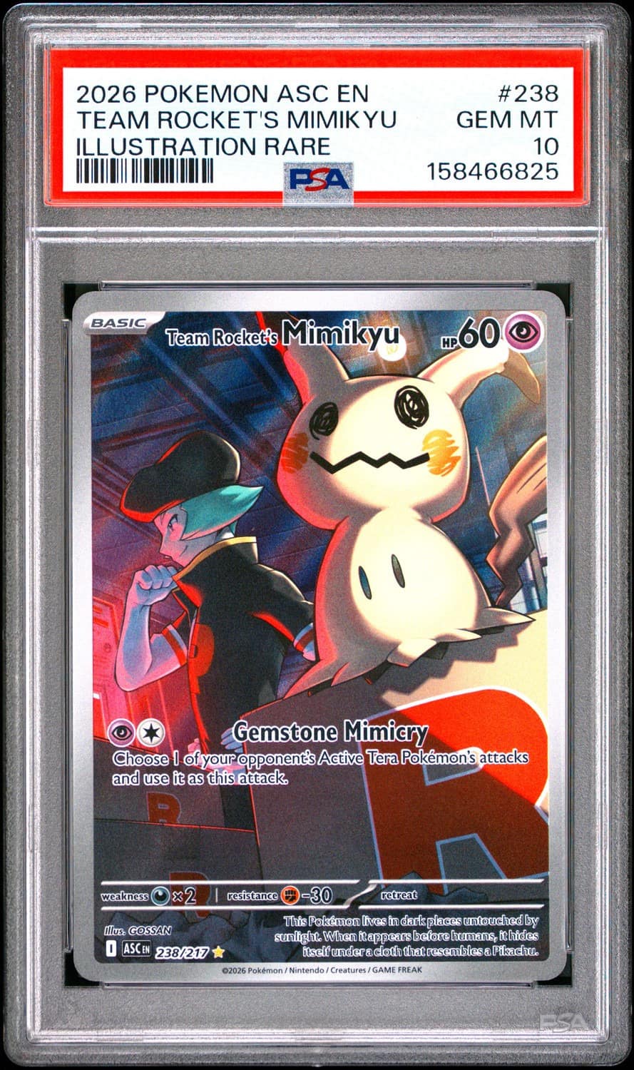 Team Rocket'S Mimikyu
