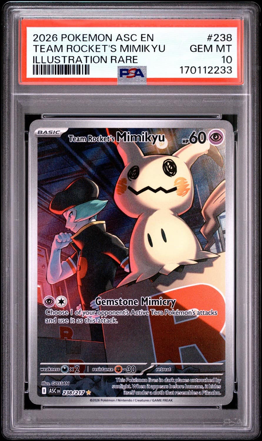 Team Rocket'S Mimikyu