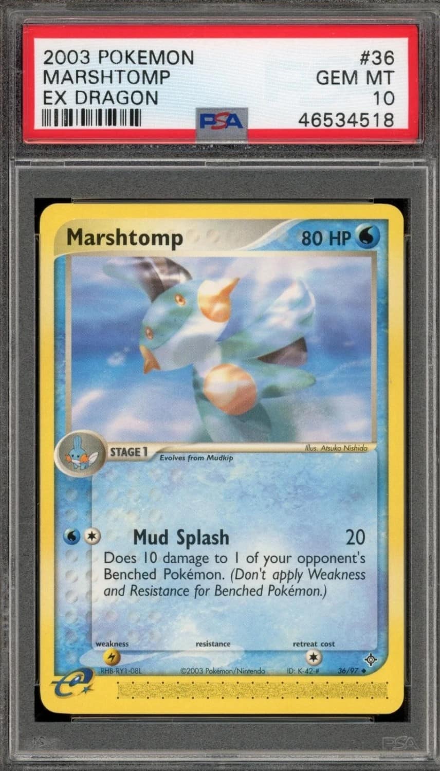 Marshtomp