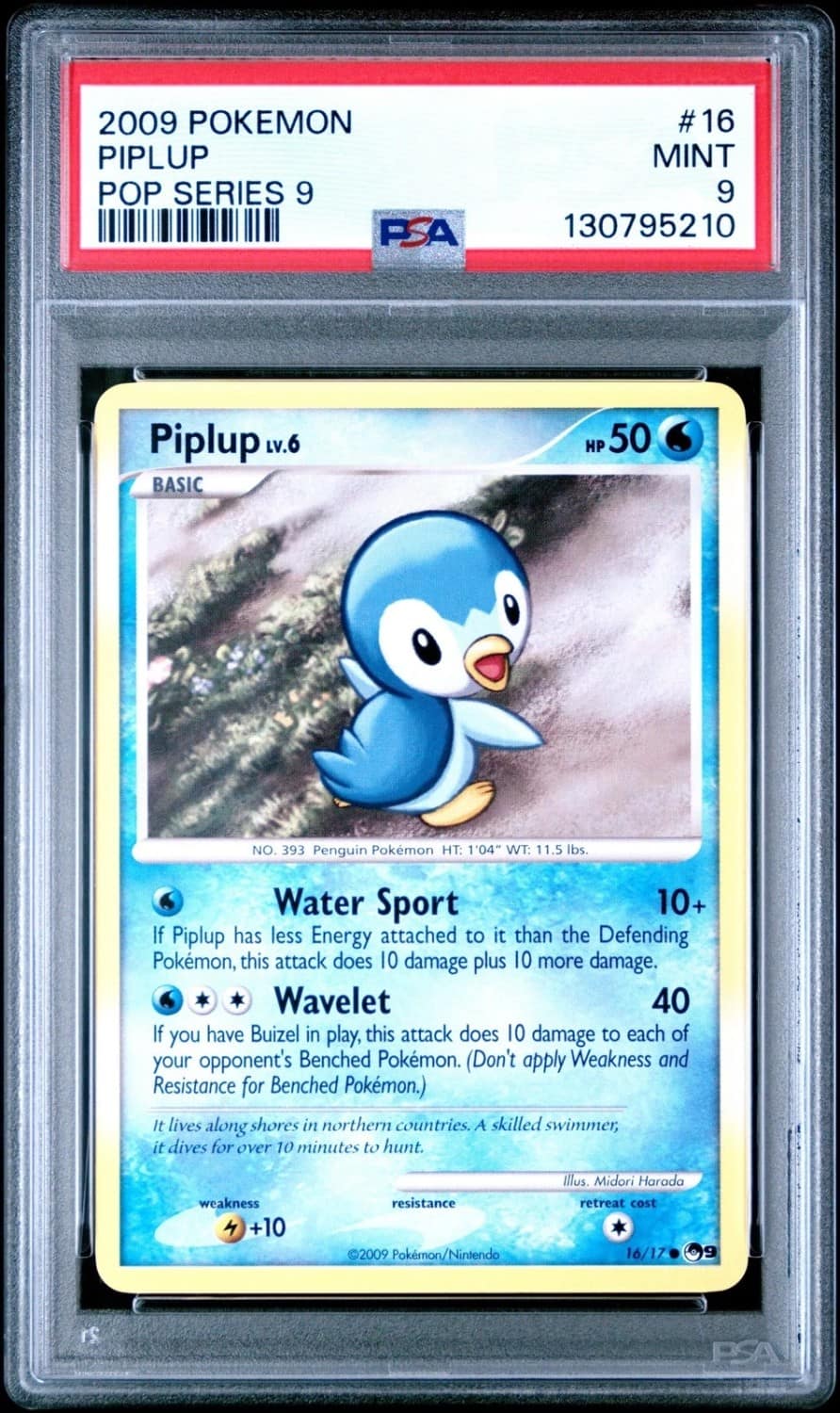 Piplup