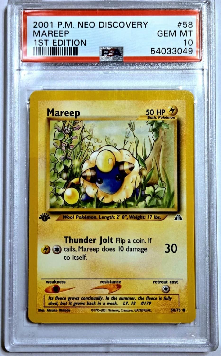 Mareep