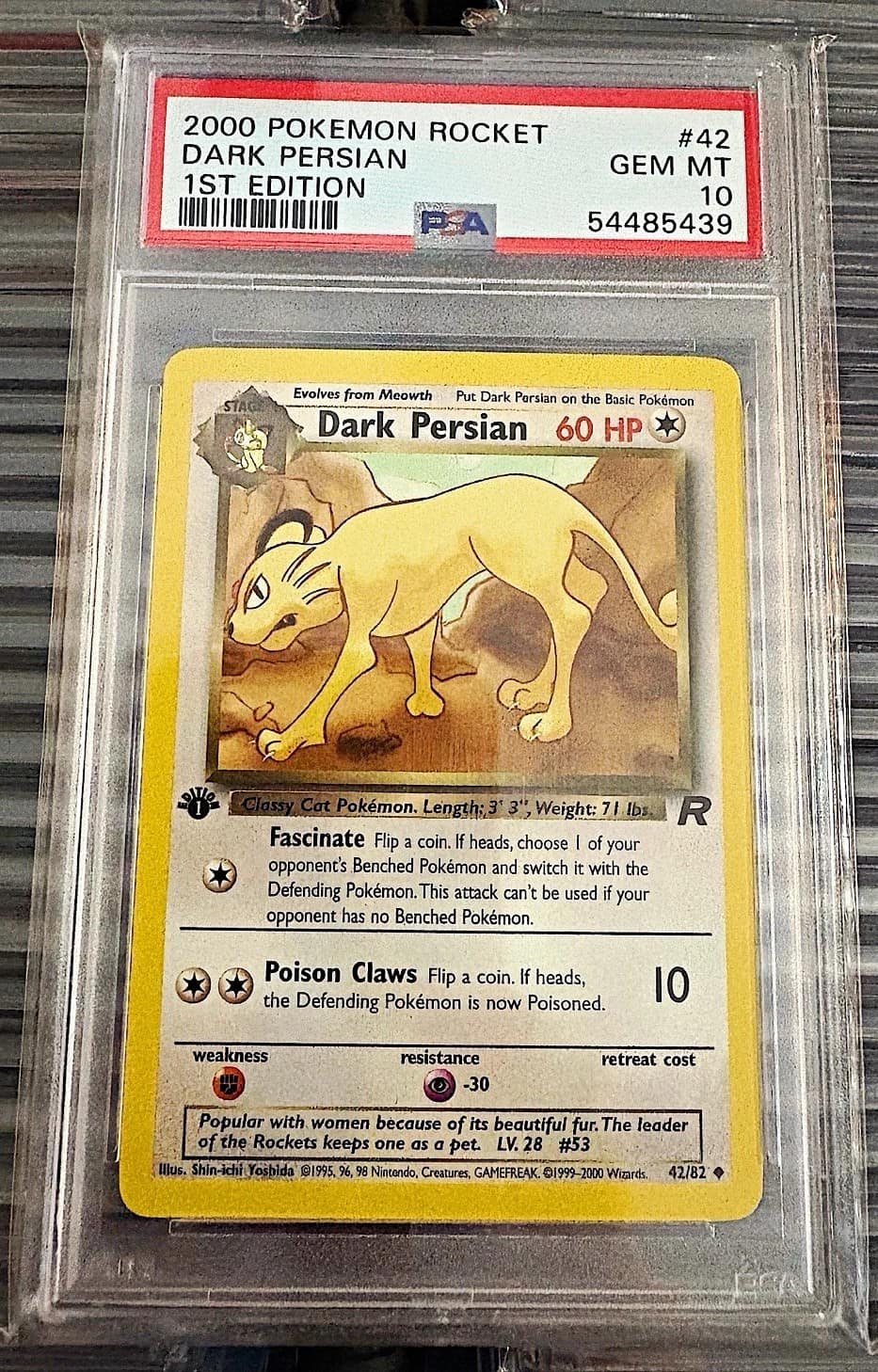 Dark Persian