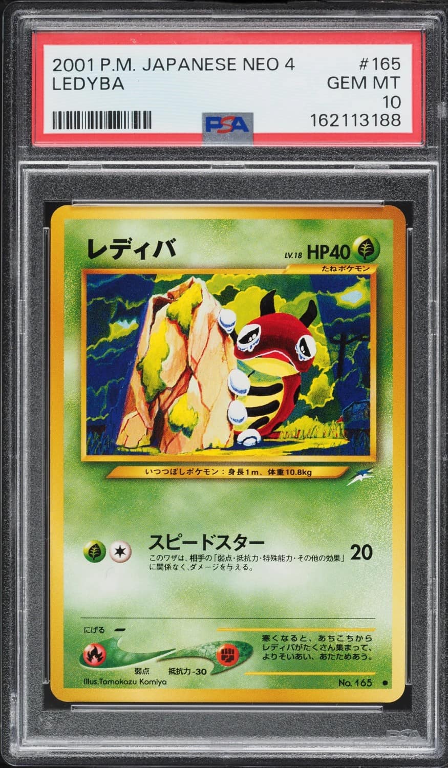 Ledyba