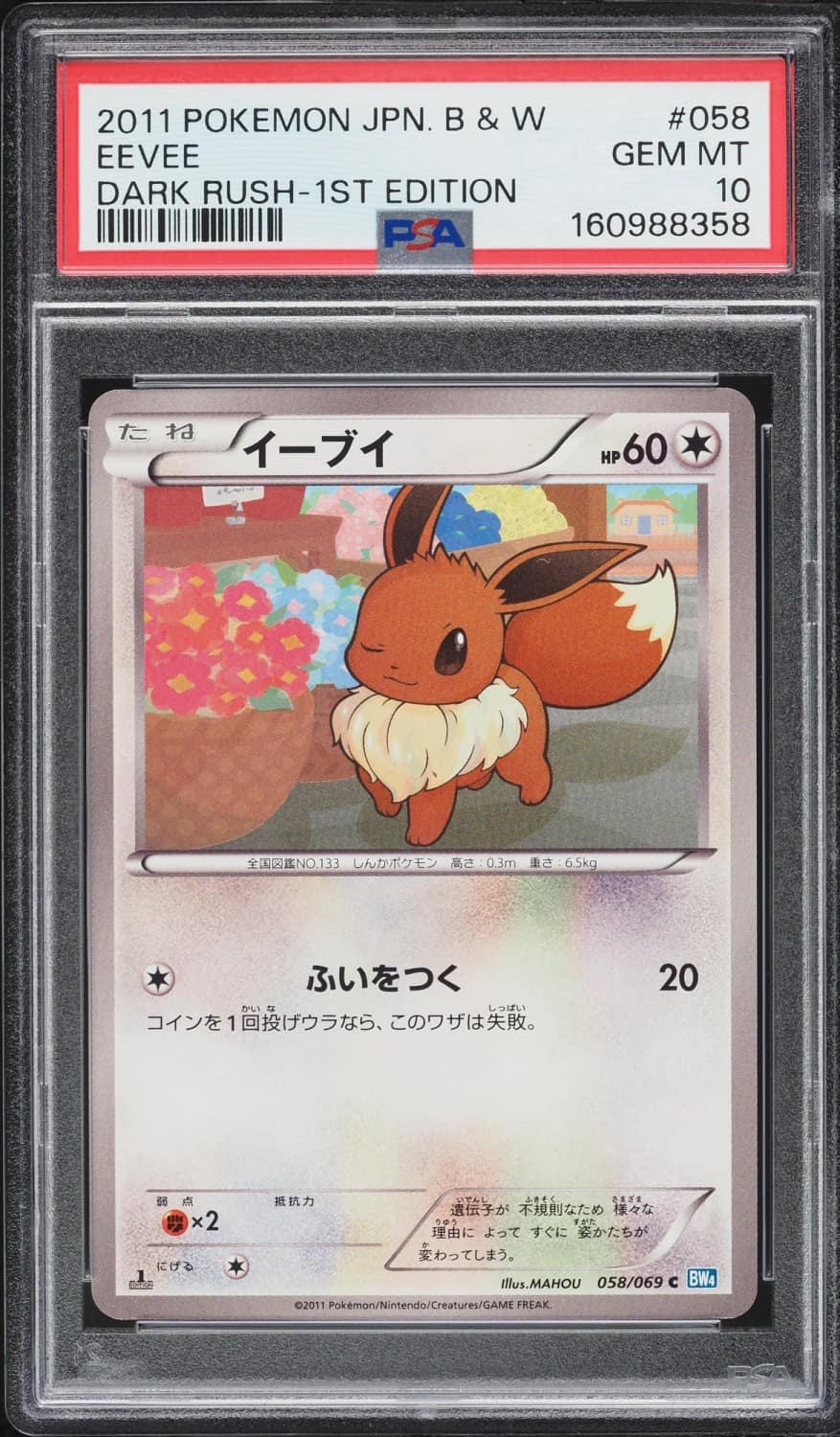 Eevee