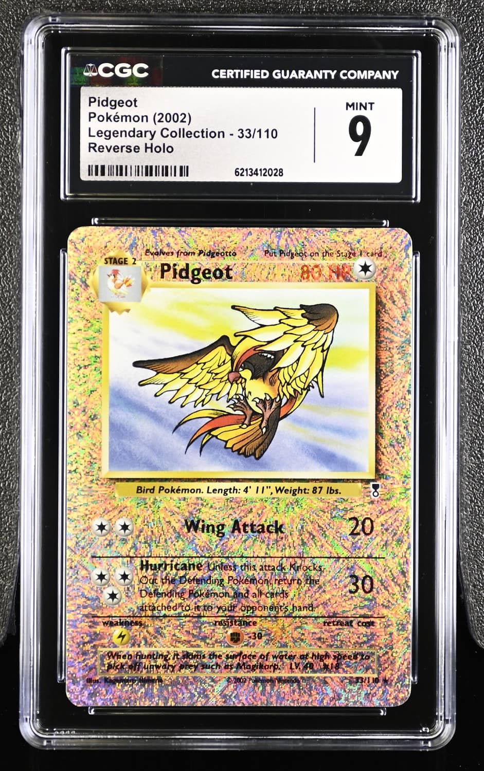 Pidgeot