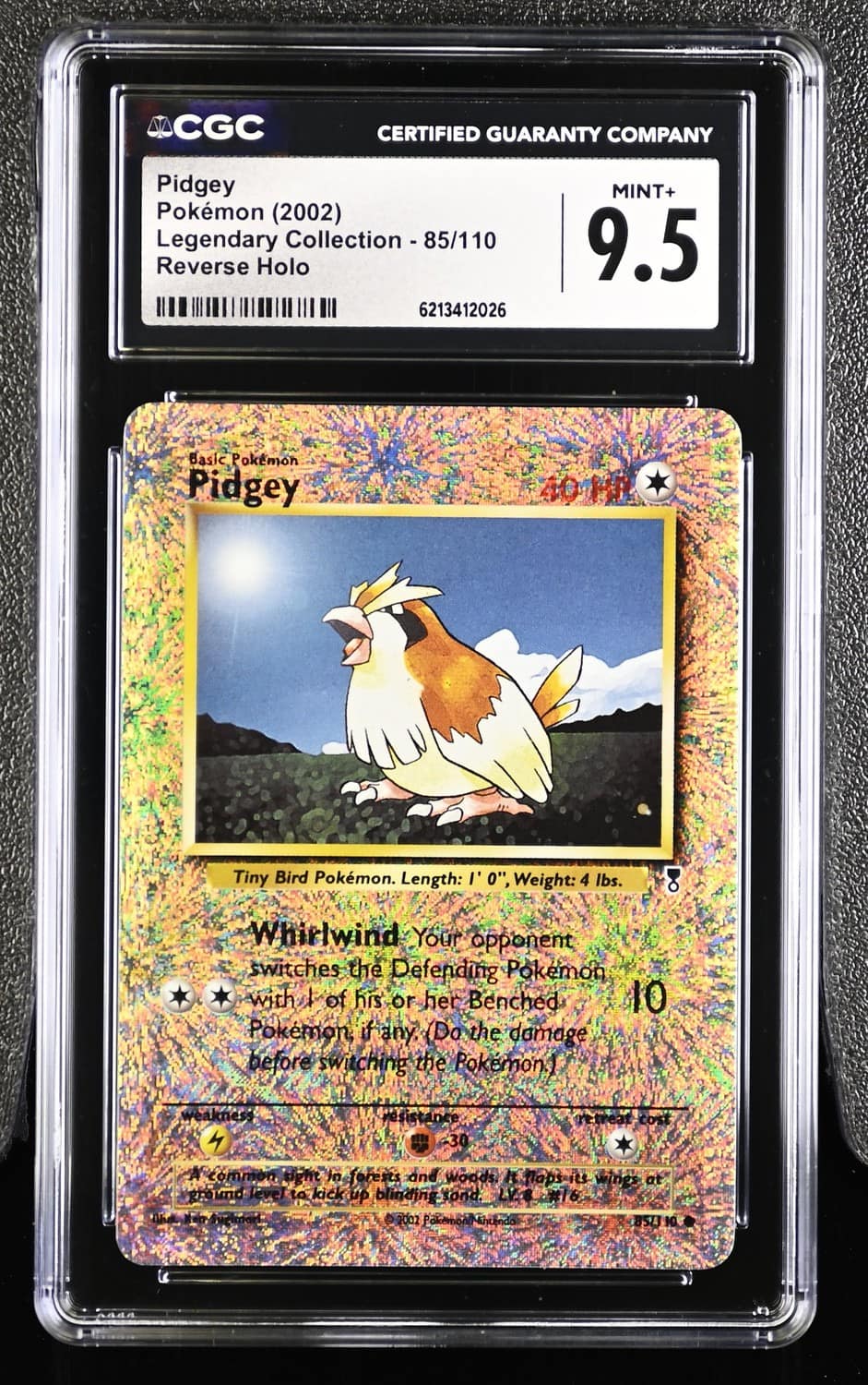 Pidgey