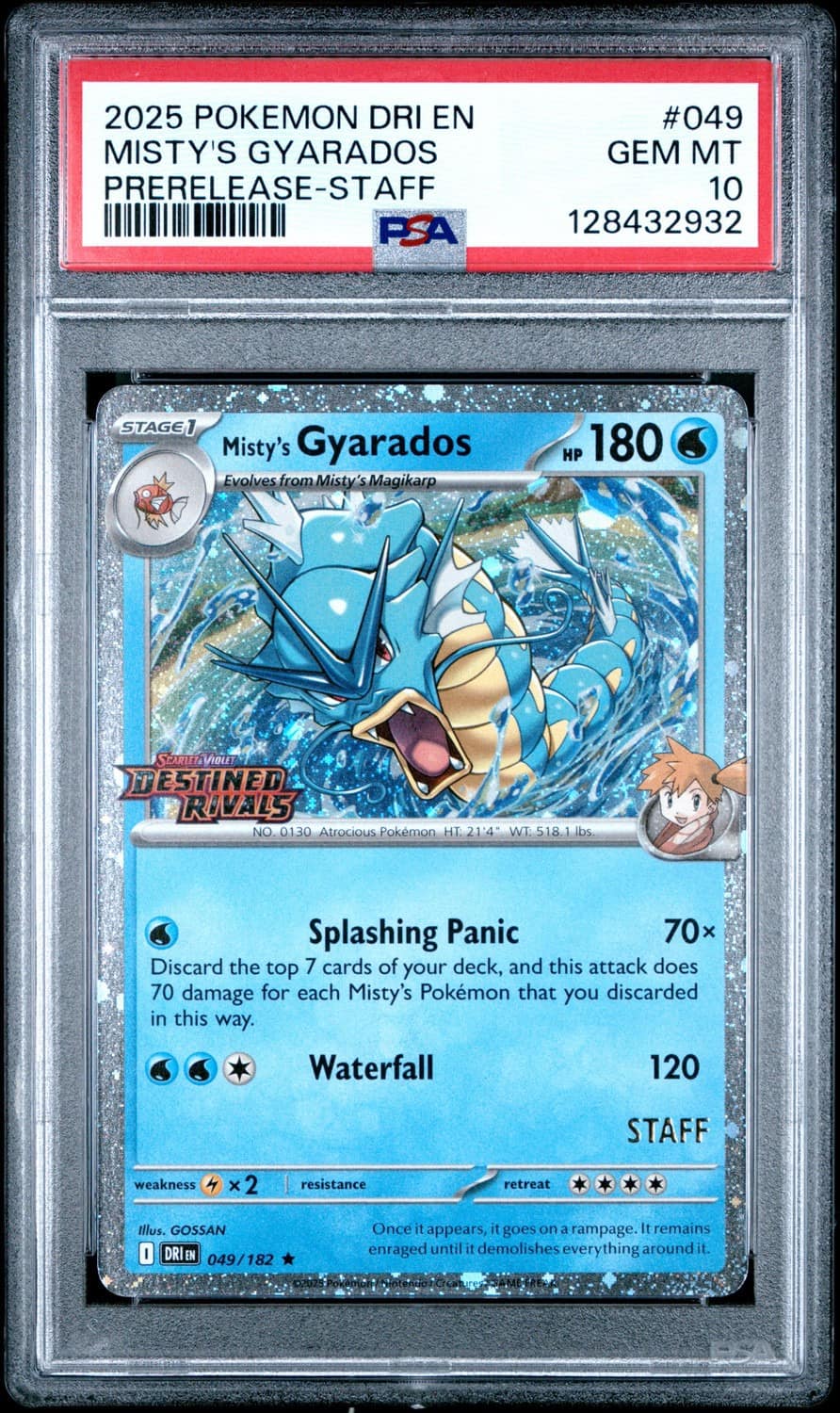Misty'S Gyarados