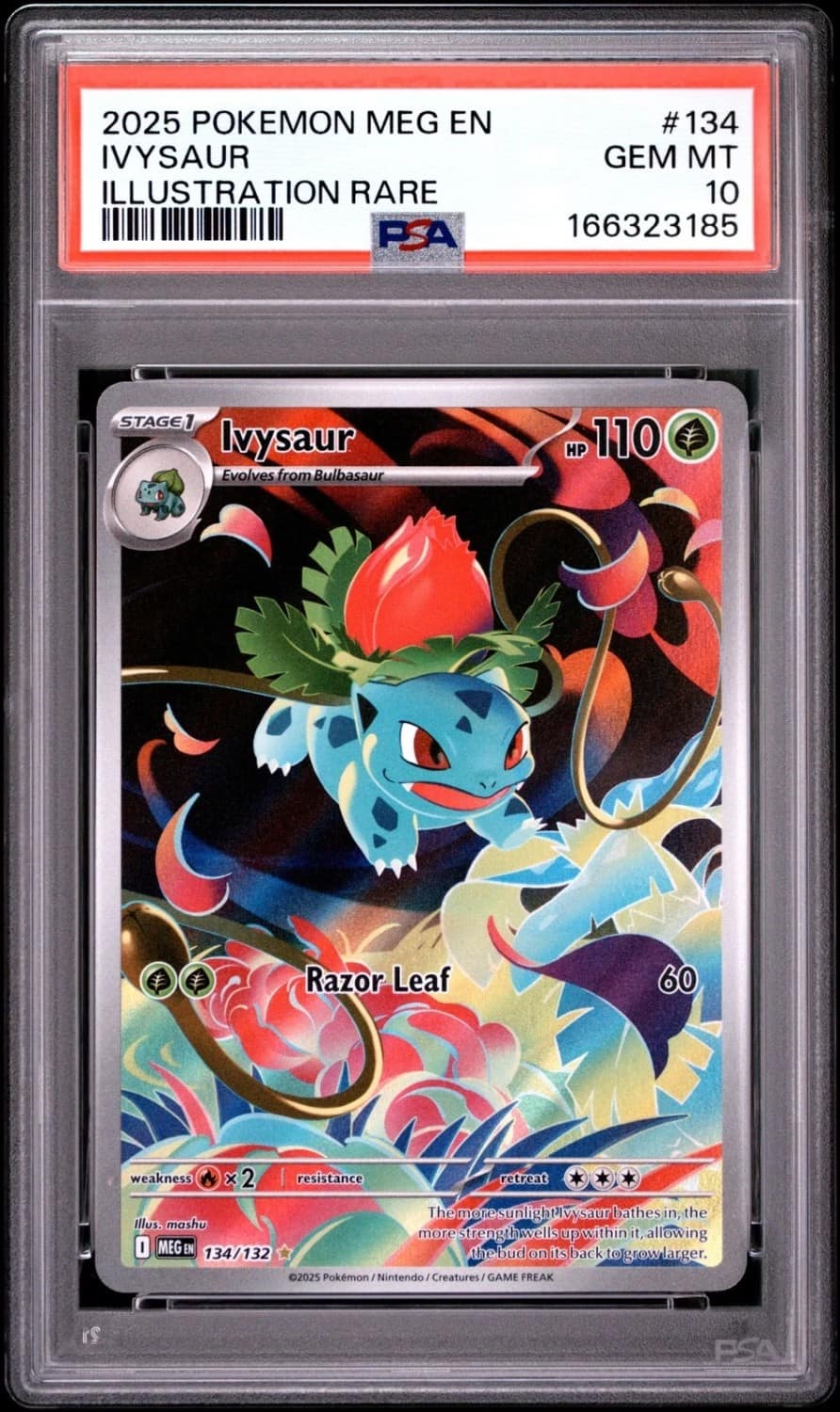 Ivysaur