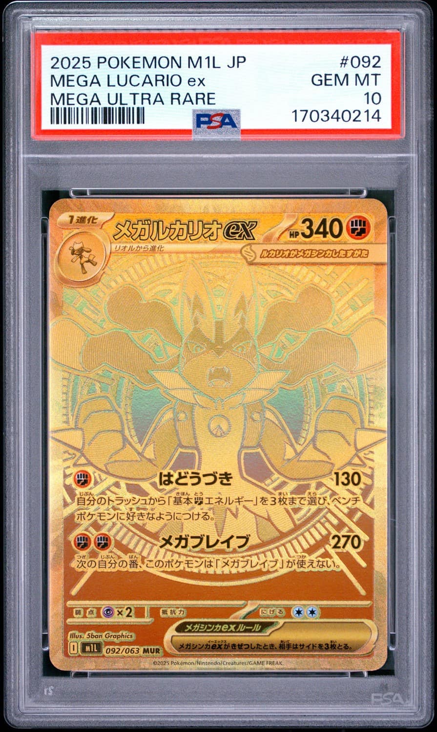 Mega Lucario Ex