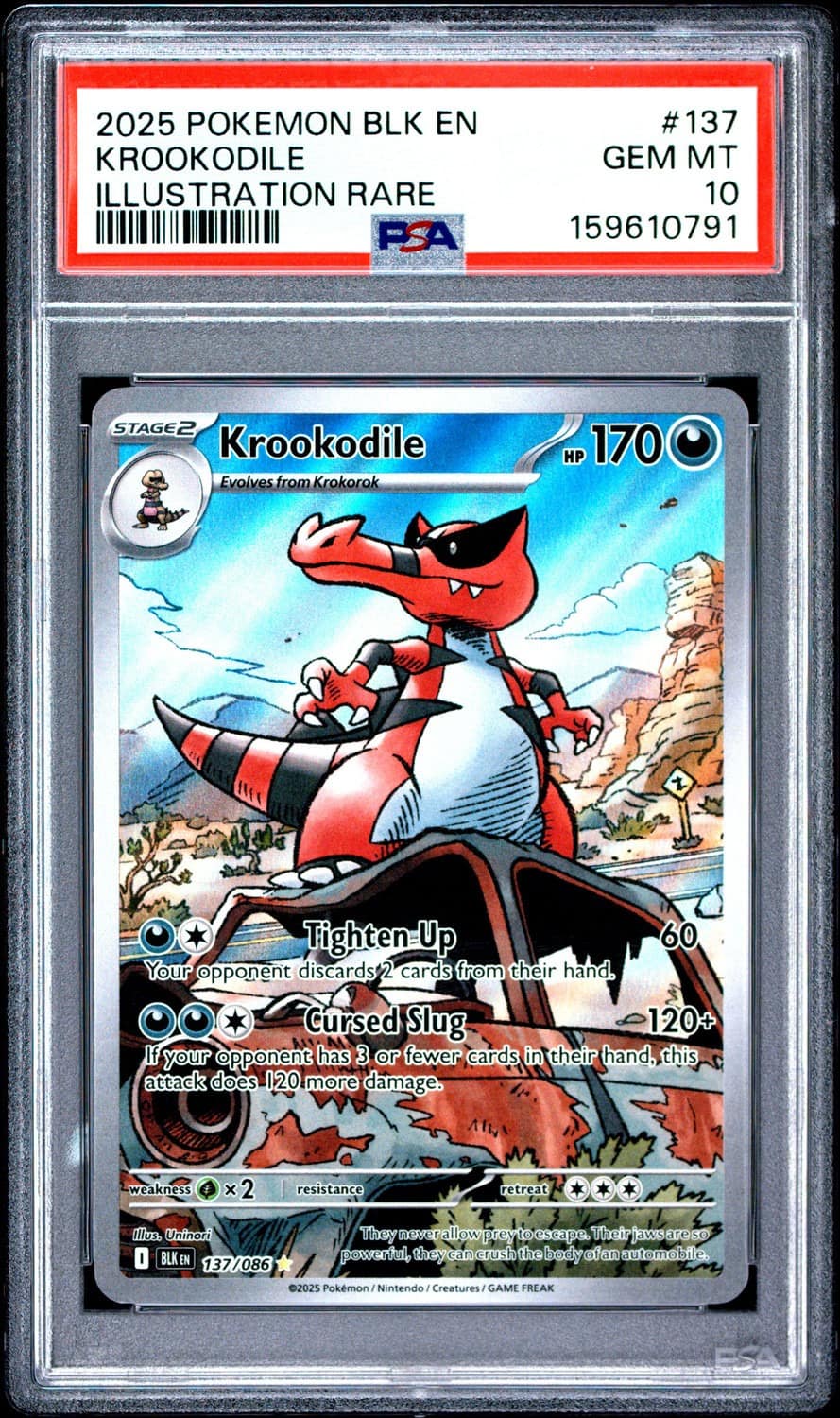Krookodile