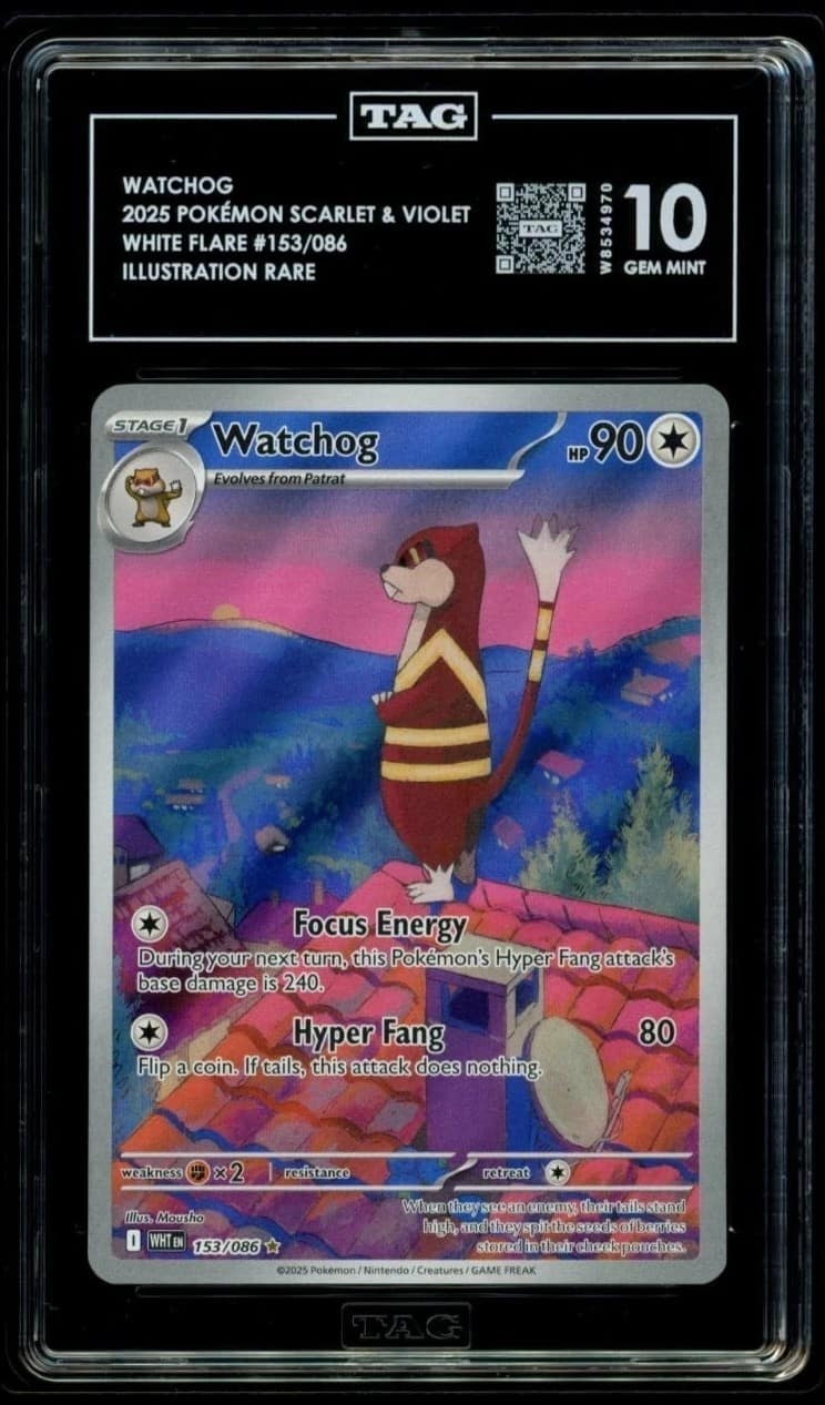 Watchog